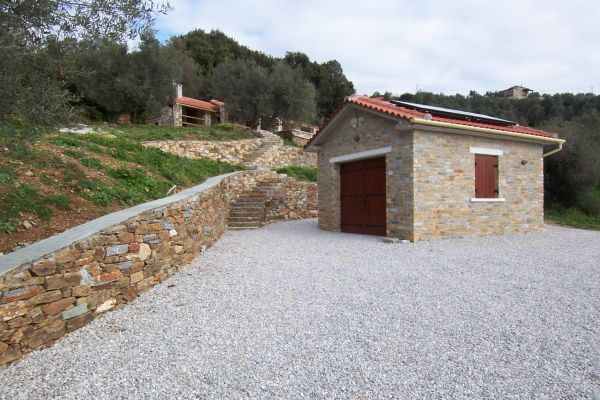 platanias178DE8506-83AE-DEB1-1F68-E73416EEE140.jpg
