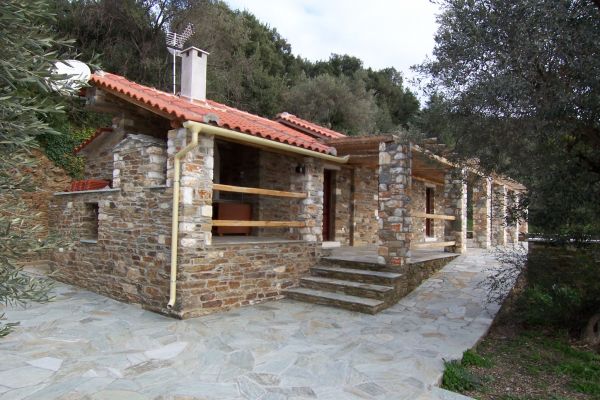 platanias2595C0791-FA35-D9AB-2E4A-A2F7994A214C.jpg